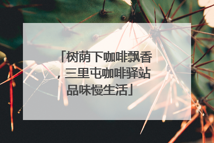 树荫下咖啡飘香，三里屯咖啡驿站品味慢生活