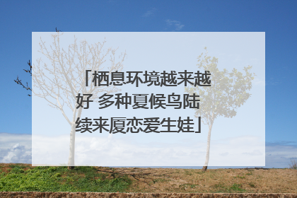 栖息环境越来越好 多种夏候鸟陆续来厦恋爱生娃