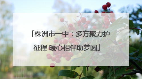 株洲市一中：多方聚力护征程 暖心相伴助梦圆