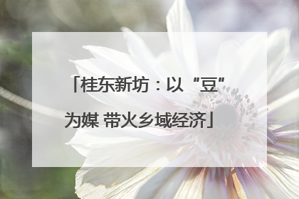 桂东新坊：以“豆”为媒 带火乡域经济