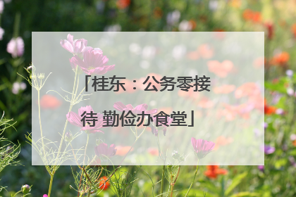 桂东：公务零接待 勤俭办食堂