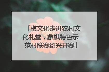 棋文化走进农村文化礼堂，象棋特色示范村联赛绍兴开赛