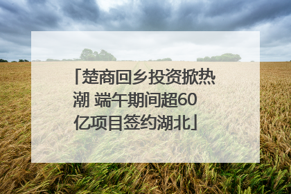 楚商回乡投资掀热潮 端午期间超60亿项目签约湖北