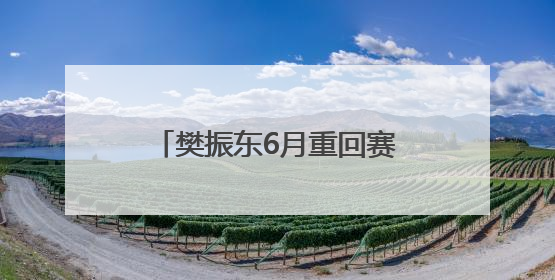樊振东6月重回赛场，许昕透露其正在训练：将参加乒超
