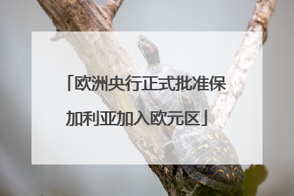 欧洲央行正式批准保加利亚加入欧元区