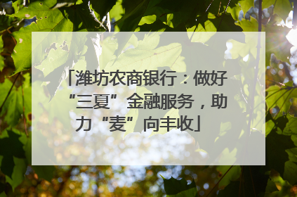潍坊农商银行：做好“三夏”金融服务，助力“麦”向丰收