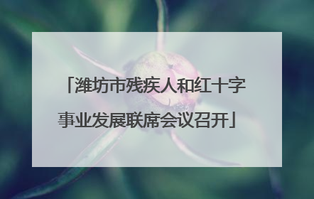 潍坊市残疾人和红十字事业发展联席会议召开