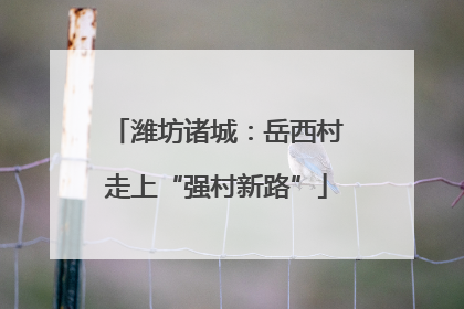 潍坊诸城：岳西村走上“强村新路”