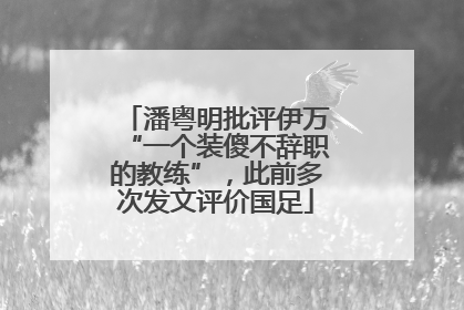 潘粤明批评伊万“一个装傻不辞职的教练”，此前多次发文评价国足