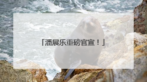 潘展乐重磅官宣！