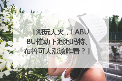 潮玩大火，LABUBU催动下泡泡玛特、布鲁可大涨该咋看？