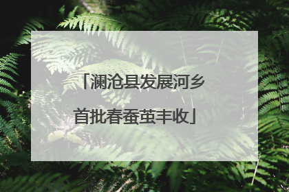 澜沧县发展河乡首批春蚕茧丰收