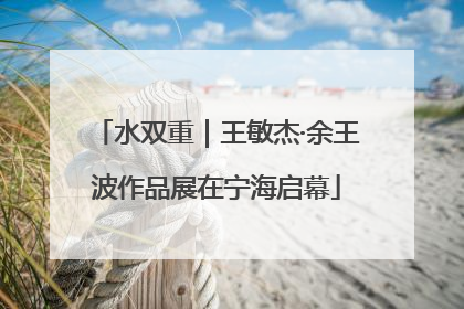 水双重｜王敏杰·余王波作品展在宁海启幕