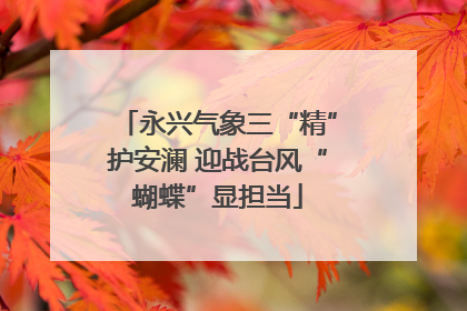 永兴气象三“精”护安澜 迎战台风“蝴蝶”显担当