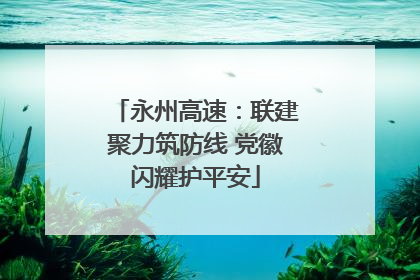 永州高速：联建聚力筑防线 党徽闪耀护平安