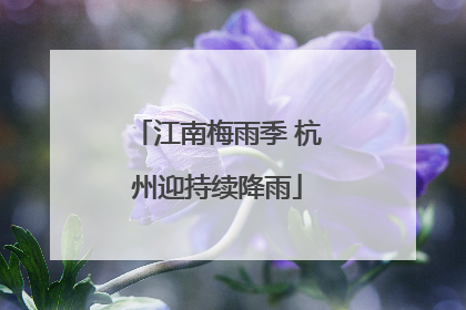 江南梅雨季 杭州迎持续降雨