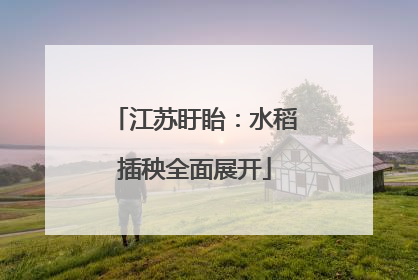 江苏盱眙：水稻插秧全面展开