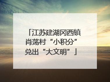 江苏建湖冈西镇肖荡村“小积分”兑出“大文明”