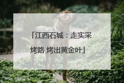 江西石城：走实采烤路 烤出黄金叶