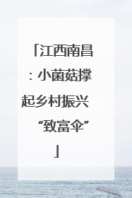 江西南昌：小菌菇撑起乡村振兴“致富伞”