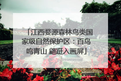 江西婺源森林鸟类国家级自然保护区：百鸟鸣青山 翩跹入画屏