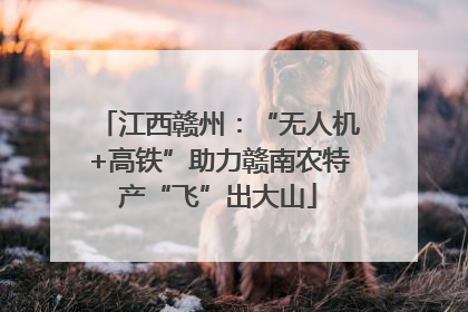 江西赣州：“无人机+高铁”助力赣南农特产“飞”出大山