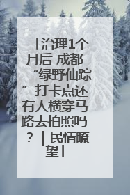 治理1个月后 成都“绿野仙踪”打卡点还有人横穿马路去拍照吗？｜民情瞭望