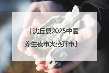 沈丘县2025中医养生夜市火热开市