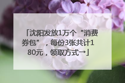 沈阳发放1万个“消费券包”，每份3张共计180元，领取方式→