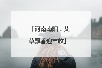 河南南阳：艾草飘香迎丰收
