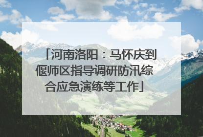 河南洛阳：马怀庆到偃师区指导调研防汛综合应急演练等工作