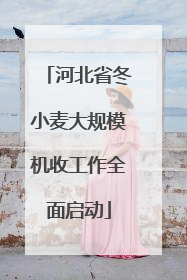 河北省冬小麦大规模机收工作全面启动