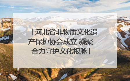 河北省非物质文化遗产保护协会成立 凝聚合力守护文化根脉