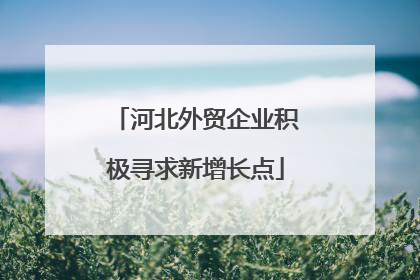 河北外贸企业积极寻求新增长点