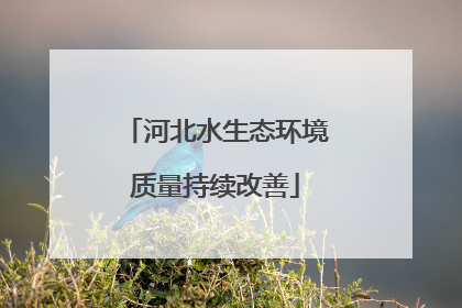 河北水生态环境质量持续改善