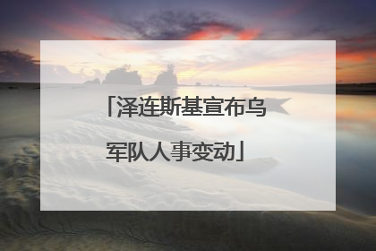 泽连斯基宣布乌军队人事变动