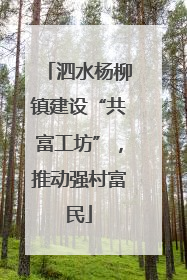 泗水杨柳镇建设“共富工坊”，推动强村富民
