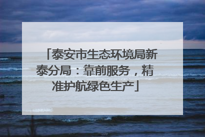 泰安市生态环境局新泰分局：靠前服务，精准护航绿色生产