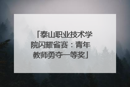 泰山职业技术学院闪耀省赛：青年教师勇夺一等奖