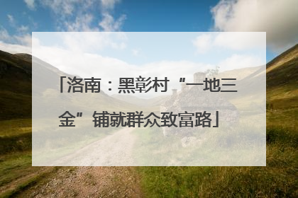 洛南：黑彰村“一地三金”铺就群众致富路