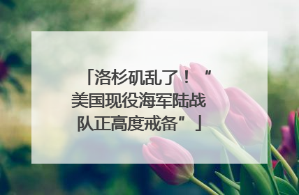 洛杉矶乱了！“美国现役海军陆战队正高度戒备”