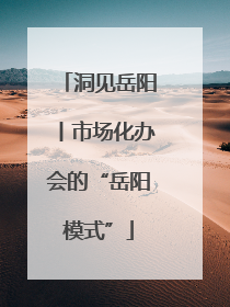 洞见岳阳丨市场化办会的“岳阳模式”