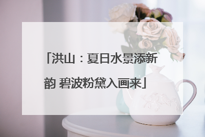 洪山：夏日水景添新韵 碧波粉黛入画来