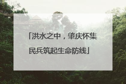 洪水之中，肇庆怀集民兵筑起生命防线