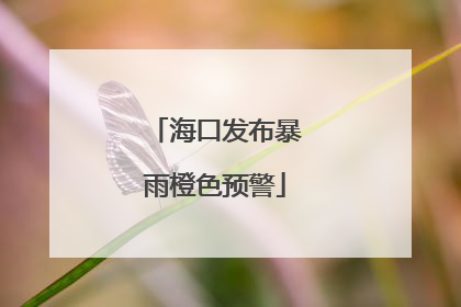 海口发布暴雨橙色预警