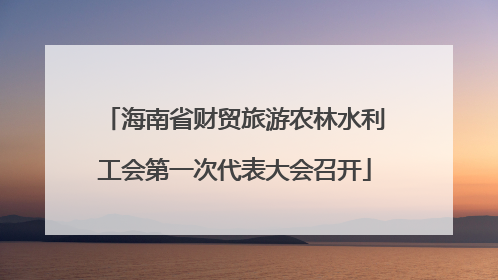 海南省财贸旅游农林水利工会第一次代表大会召开
