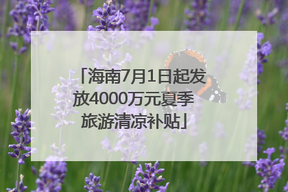 海南7月1日起发放4000万元夏季旅游清凉补贴