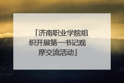 济南职业学院组织开展第一书记观摩交流活动