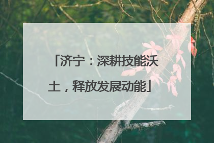 济宁：深耕技能沃土，释放发展动能