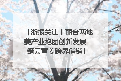 浙报关注丨丽台两地姜产业抱团创新发展 缙云黄姜跨界俏销